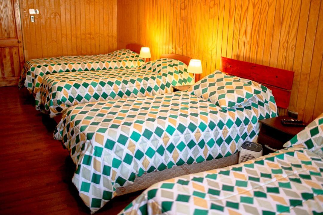 Roble Austral Hostal Coyhaique Ngoại thất bức ảnh